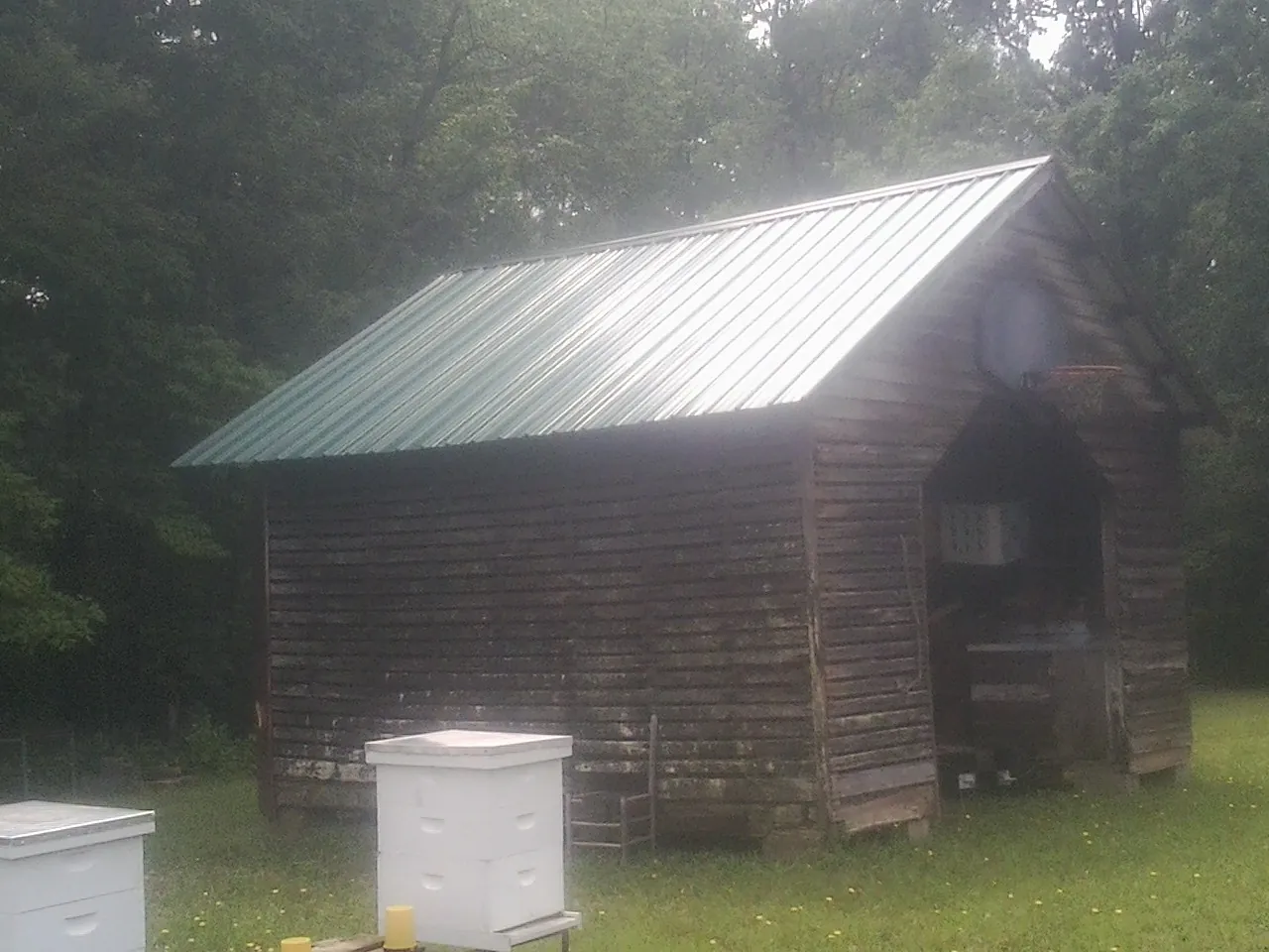 Green metal roof on a weathered barn beside stacked beehives in Jacksonville